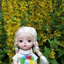 Выросли в садочке желтые цветочки.... Вербейник