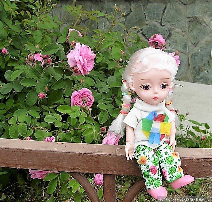 Беляночка и розочка.... Шиповник