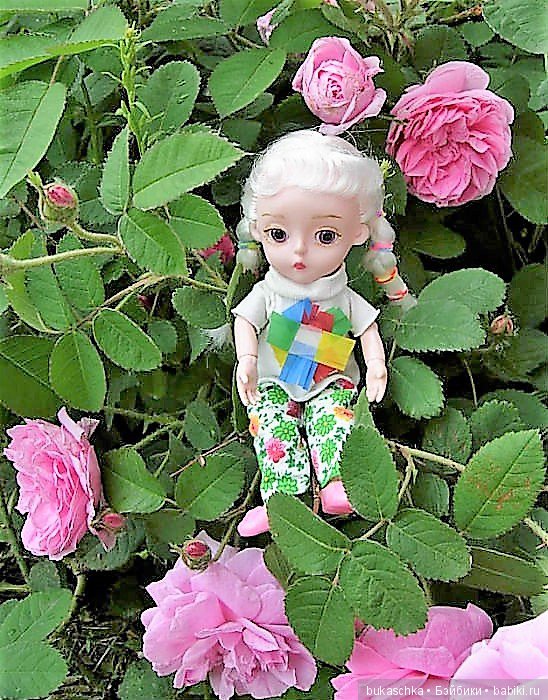 Беляночка и розочка.... Шиповник (фото 10)