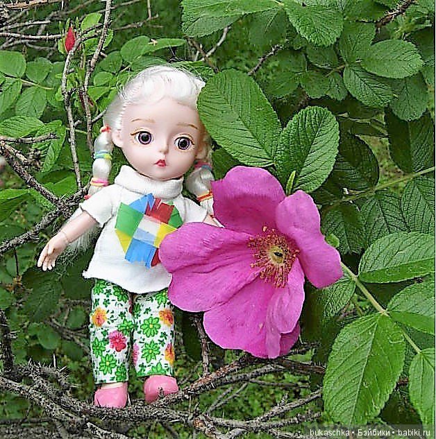 Беляночка и розочка.... Шиповник (фото 3)