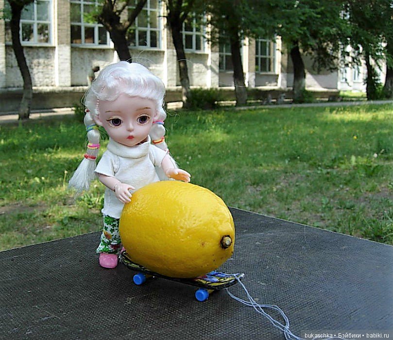 Лимонная логистика или как Маргарита везла лимон на летний флешмоб (фото 7)