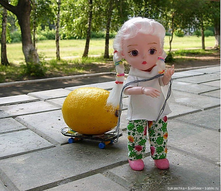 Лимонная логистика или как Маргарита везла лимон на летний флешмоб (фото 3)