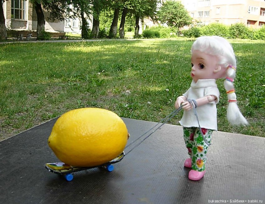 Лимонная логистика или как Маргарита везла лимон на летний флешмоб (фото 5)