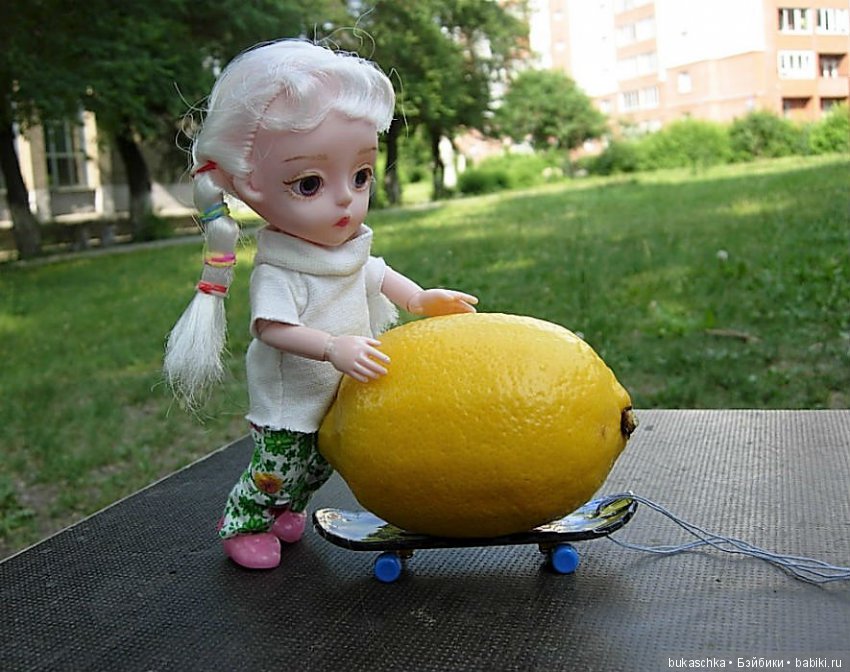 Лимонная логистика или как Маргарита везла лимон на летний флешмоб (фото 6)