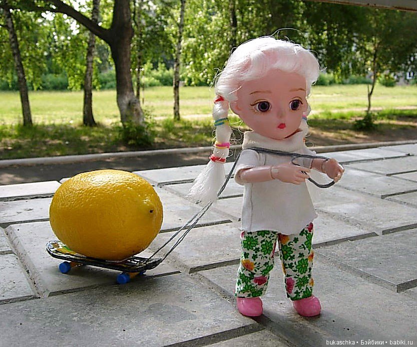 Лимонная логистика или как Маргарита везла лимон на летний флешмоб (фото 2)