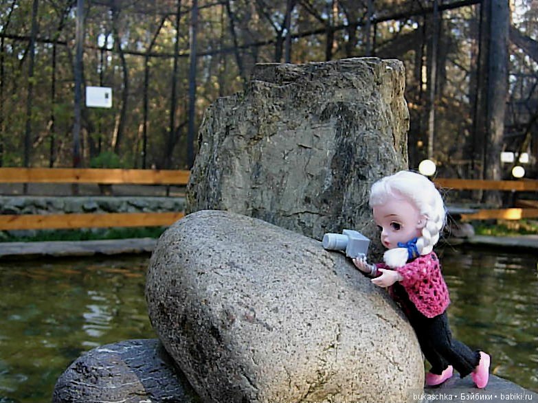 День фотографа — Разные шарнирные куклы (не БЖД): редкие (фото 4)