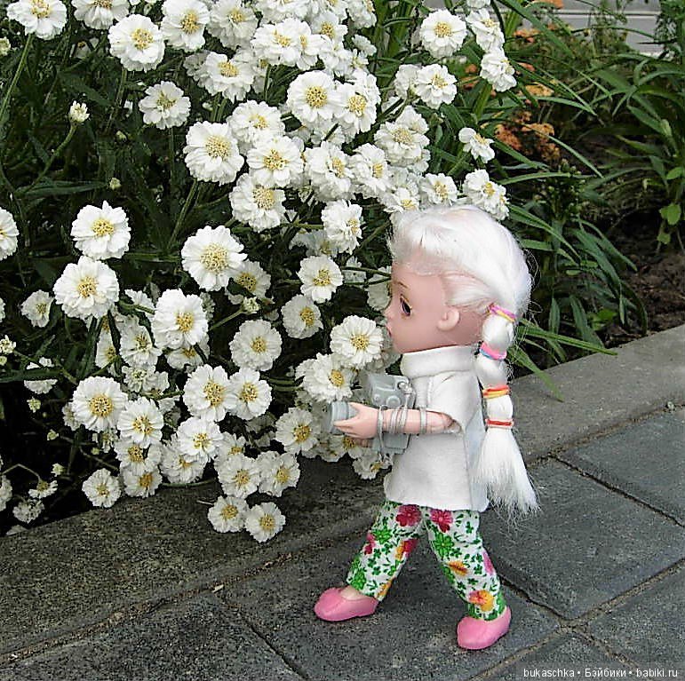 День фотографа — Разные шарнирные куклы (не БЖД): редкие