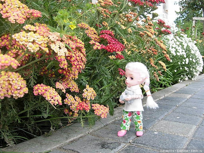 День фотографа — Разные шарнирные куклы (не БЖД): редкие