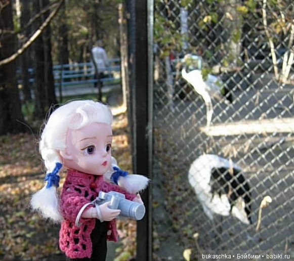 День фотографа — Разные шарнирные куклы (не БЖД): редкие (фото 5)