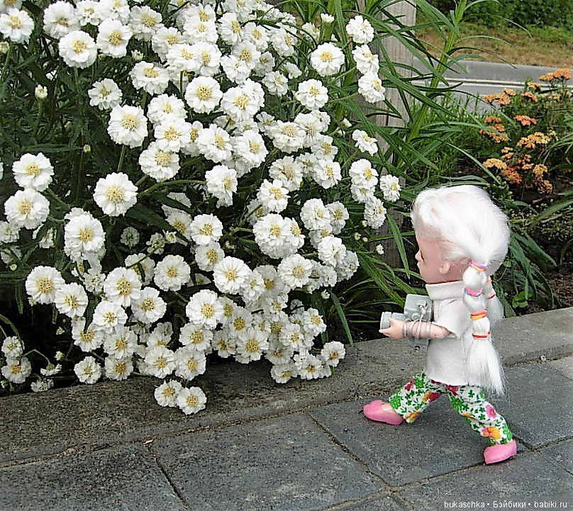 День фотографа — Разные шарнирные куклы (не БЖД): редкие