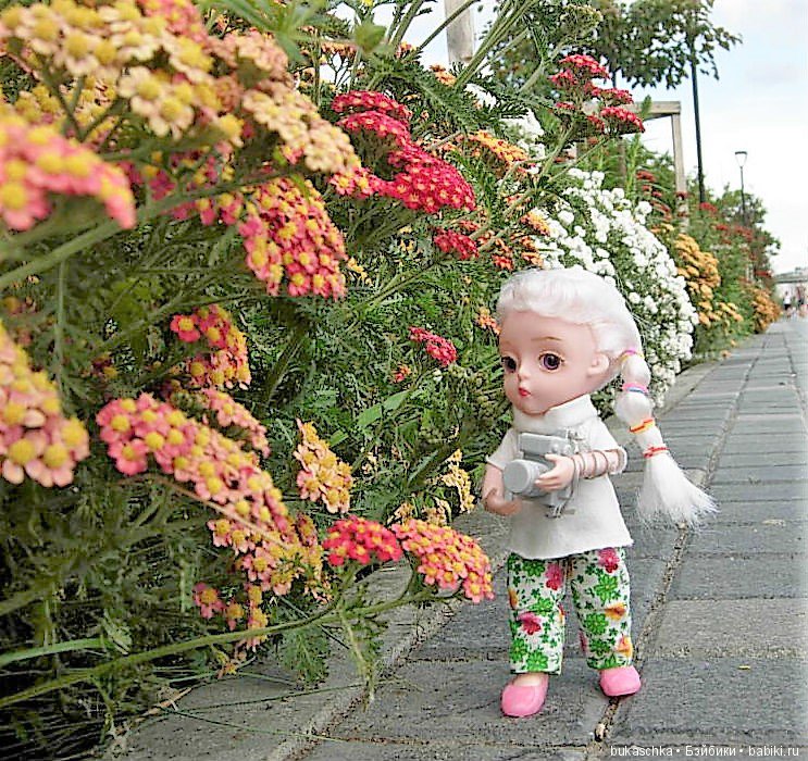 День фотографа — Разные шарнирные куклы (не БЖД): редкие