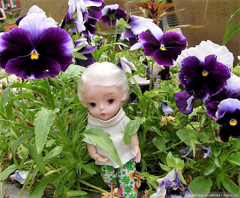 Анютины глазки — Разные шарнирные куклы (не БЖД): редкие (фото 7)