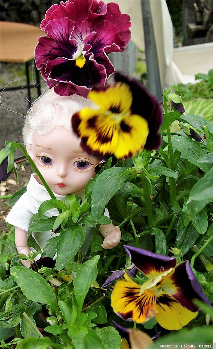 Анютины глазки — Разные шарнирные куклы (не БЖД): редкие (фото 4)