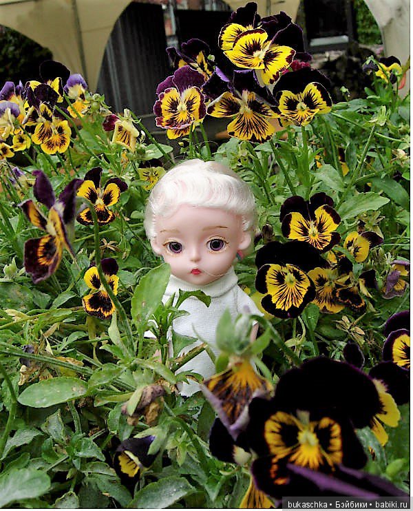 Анютины глазки — Разные шарнирные куклы (не БЖД): редкие (фото 3)