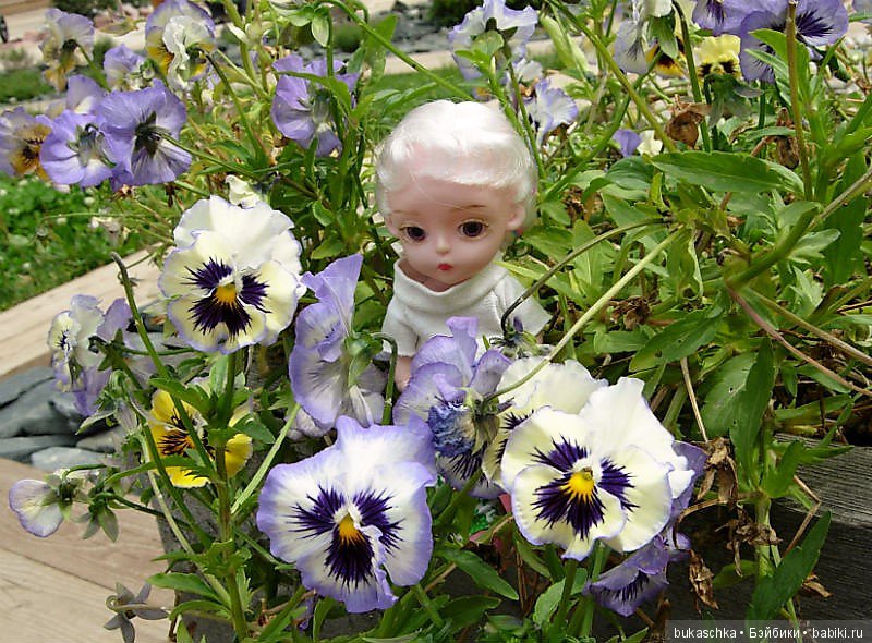 Анютины глазки — Разные шарнирные куклы (не БЖД): редкие (фото 8)