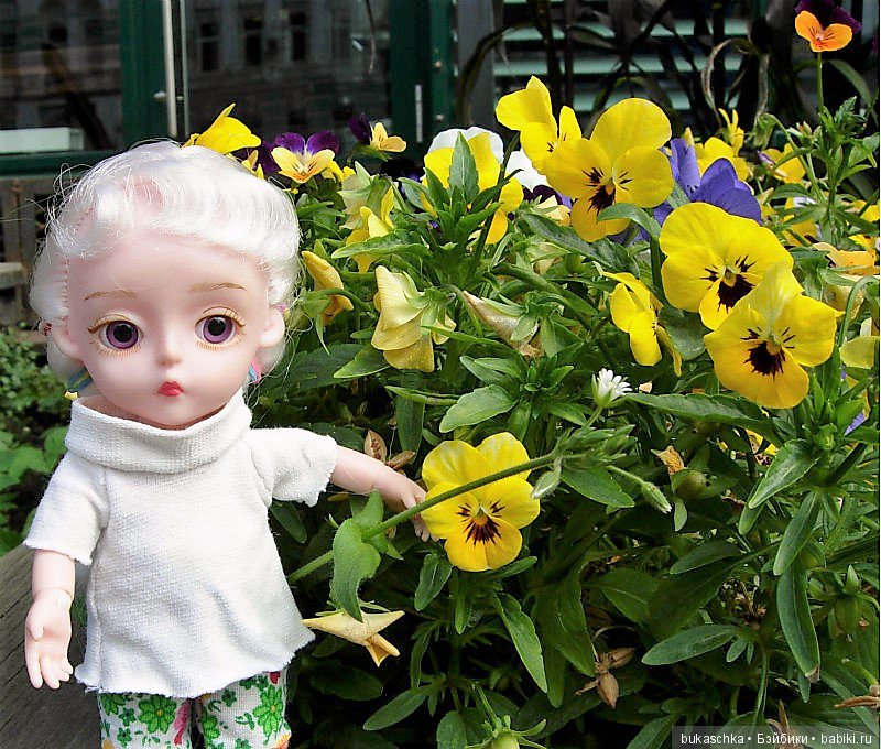 Анютины глазки — Разные шарнирные куклы (не БЖД): редкие