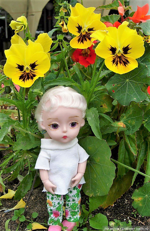 Анютины глазки — Разные шарнирные куклы (не БЖД): редкие (фото 2)