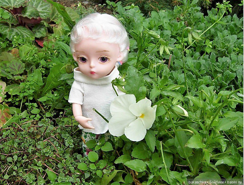 Анютины глазки — Разные шарнирные куклы (не БЖД): редкие (фото 6)