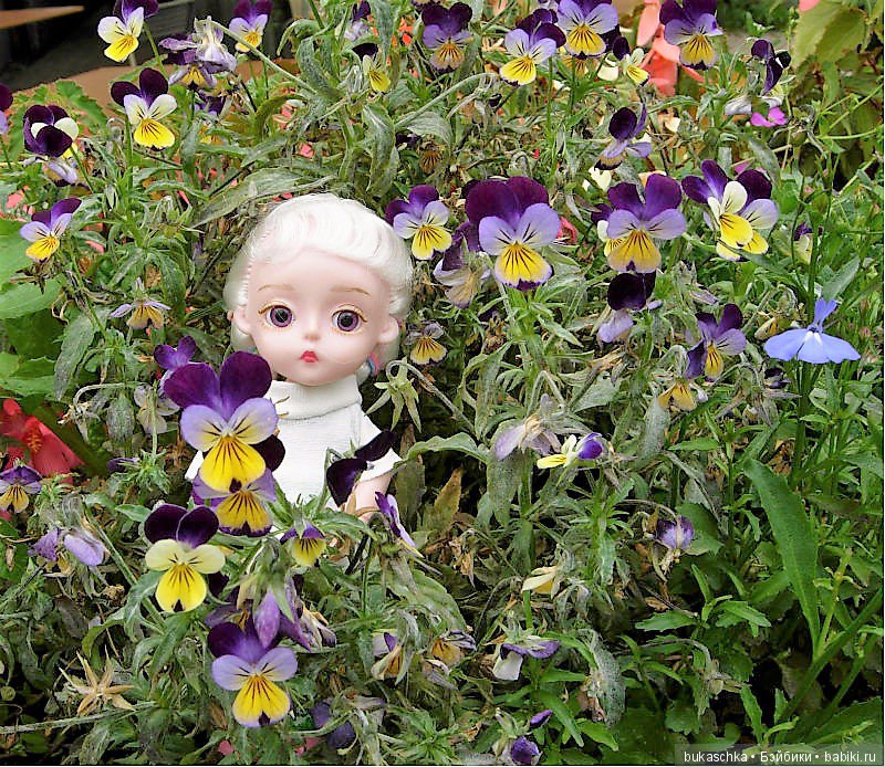 Анютины глазки — Разные шарнирные куклы (не БЖД): редкие