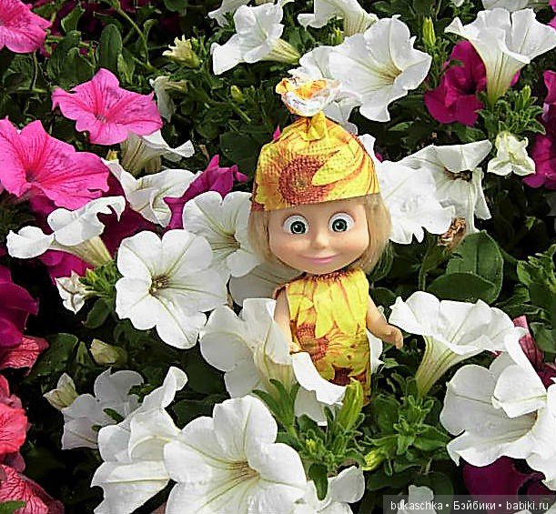 Машка-художница приехала — Куклы Маша и Медведь (Simba): Маша в кармашке (фото 8)