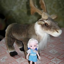 Северный олень