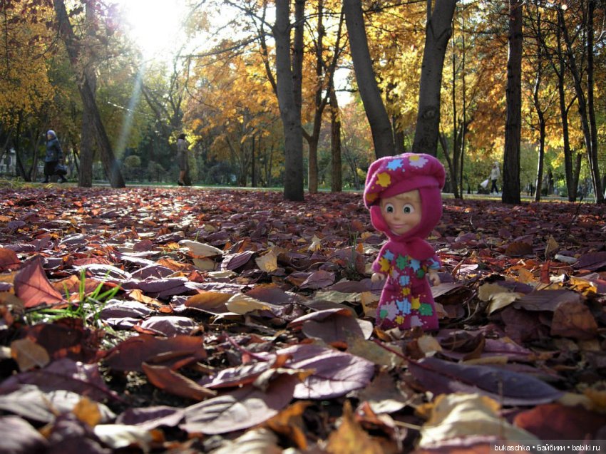 Краски ушедшей осени. Машкина осень (фото 9)