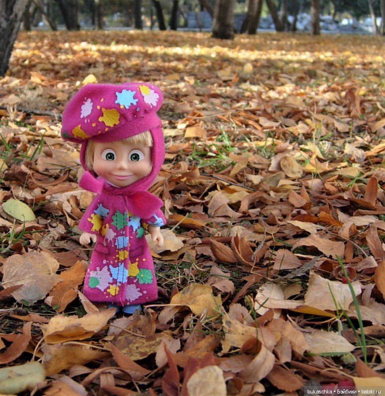 Краски ушедшей осени. Машкина осень (фото 5)