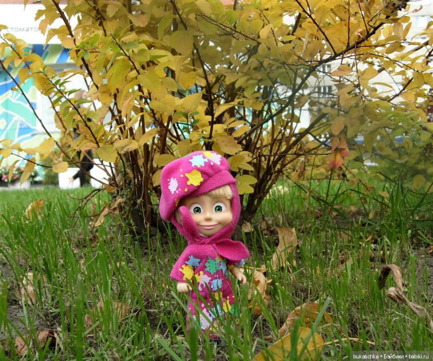 Краски ушедшей осени. Машкина осень (фото 3)