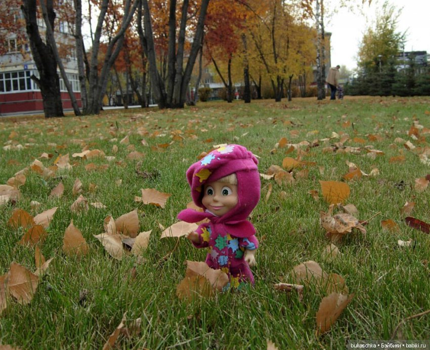 Краски ушедшей осени. Машкина осень (фото 2)