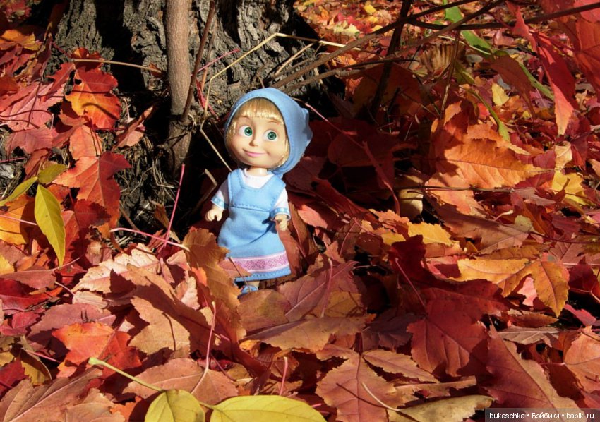 Краски ушедшей осени. Машкина осень (фото 4)