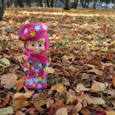 Краски ушедшей осени. Машкина осень