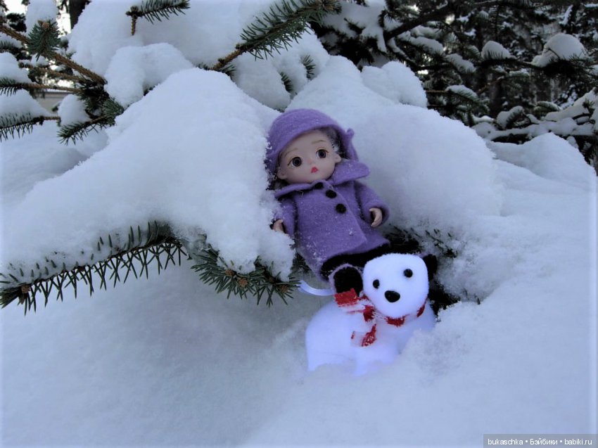 Привет из Сибири — Разные шарнирные куклы (не БЖД): редкие (фото 7)