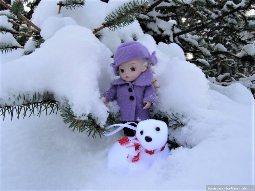 Привет из Сибири — Разные шарнирные куклы (не БЖД): редкие (фото 8)