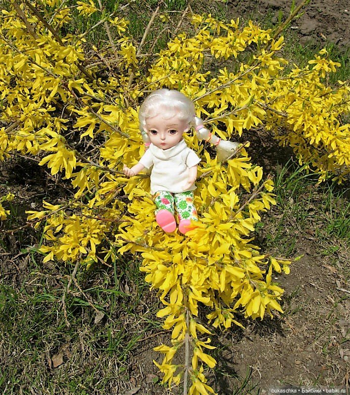 Цветет форзиция — Куклы Baboliy (Баболи (фото 4)