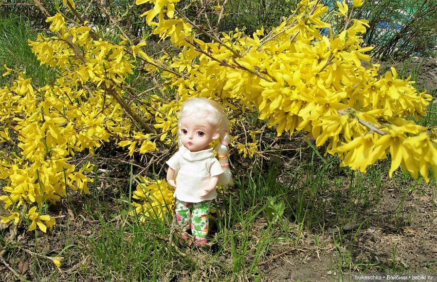 Цветет форзиция — Куклы Baboliy (Баболи (фото 2)
