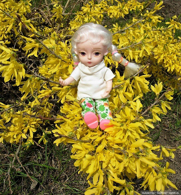Цветет форзиция — Куклы Baboliy (Баболи (фото 5)