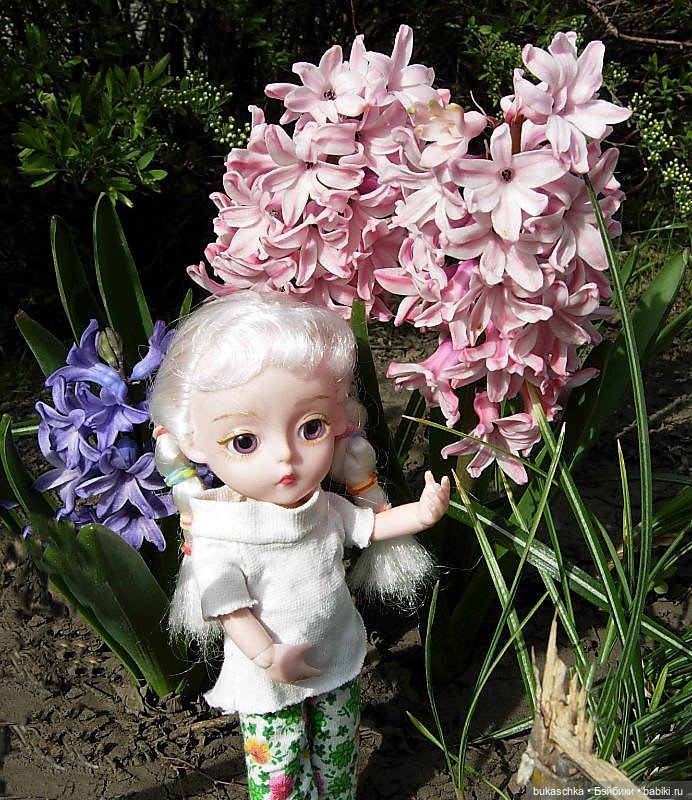 Гиацинт — Куклы Baboliy (Баболи