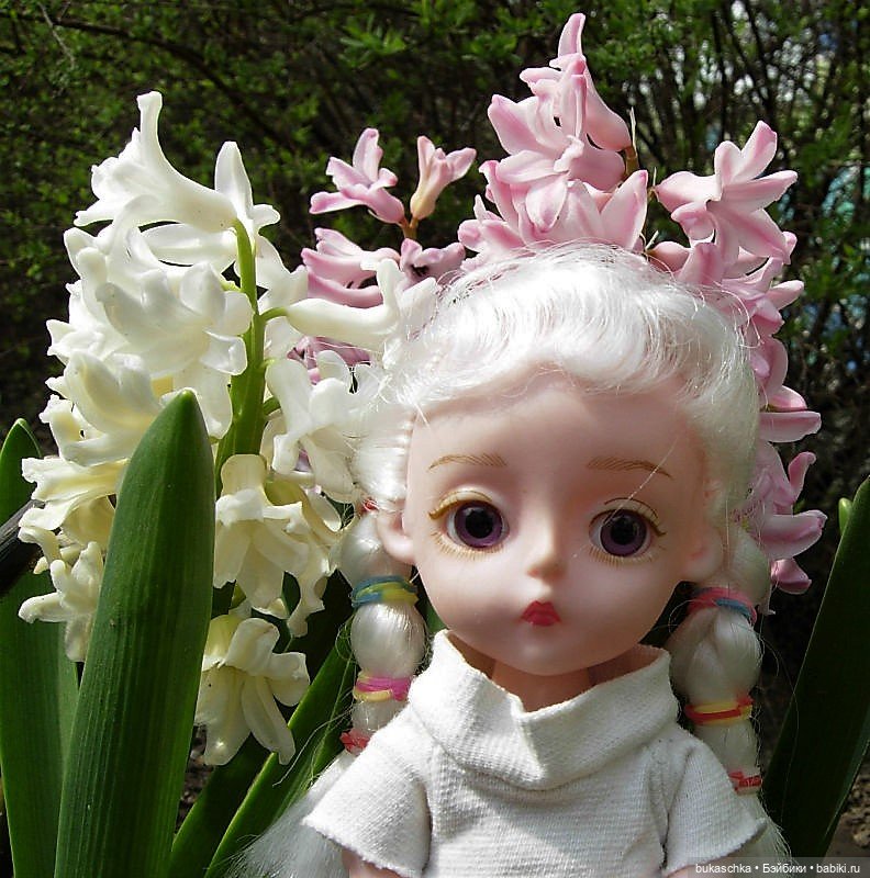 Гиацинт — Куклы Baboliy (Баболи (фото 2)