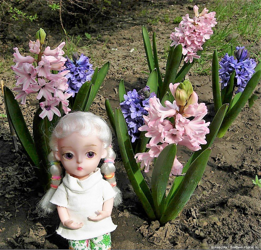 Гиацинт — Куклы Baboliy (Баболи (фото 8)