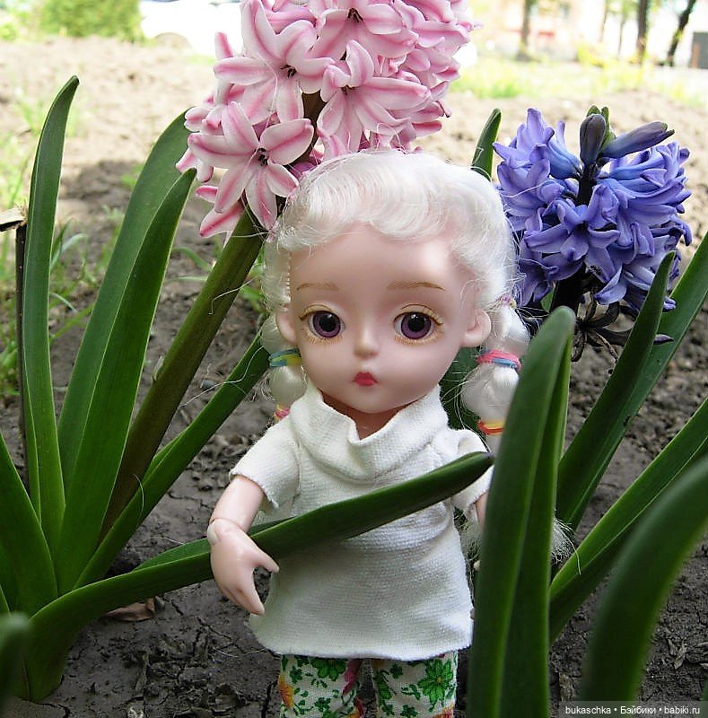 Гиацинт — Куклы Baboliy (Баболи