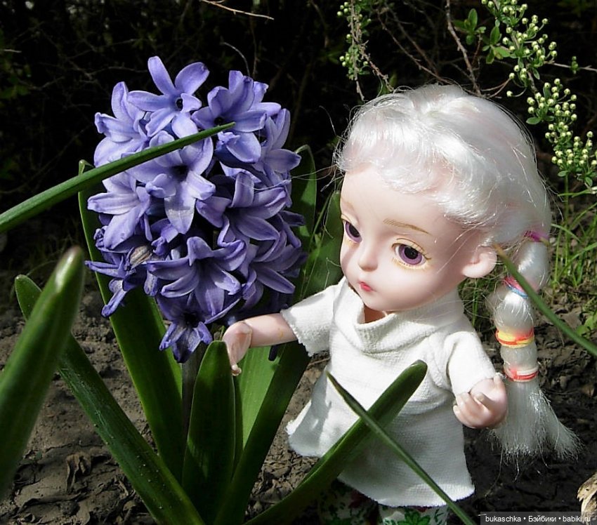 Гиацинт — Куклы Baboliy (Баболи