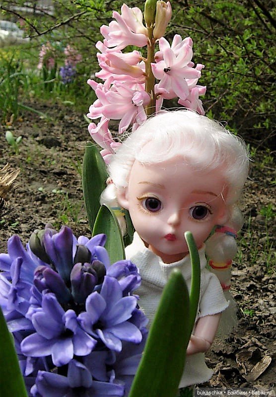 Гиацинт — Куклы Baboliy (Баболи (фото 6)