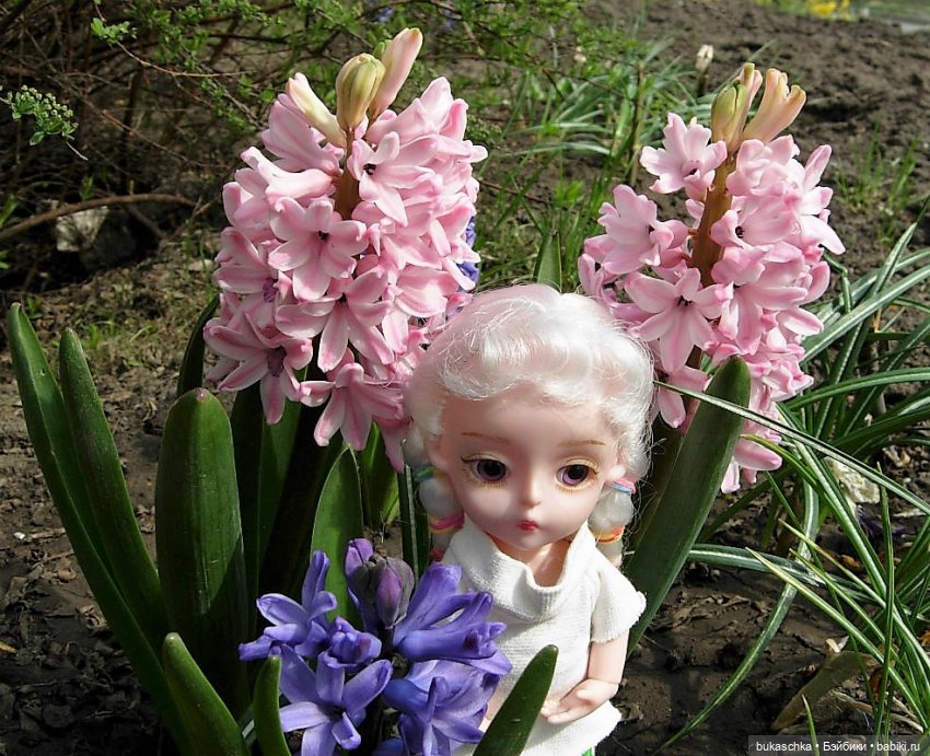 Гиацинт — Куклы Baboliy (Баболи (фото 10)