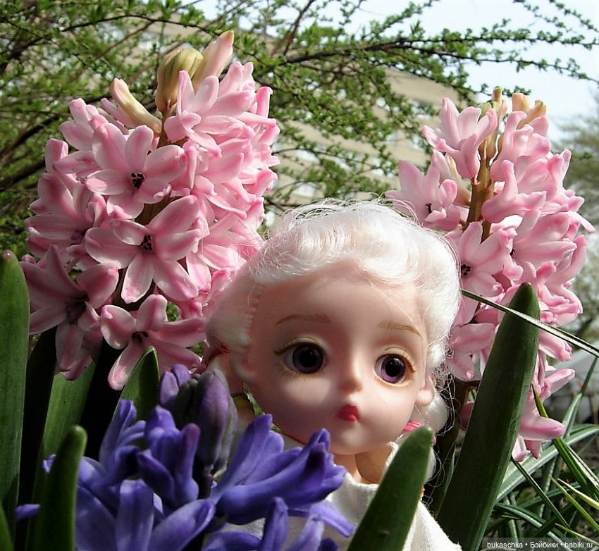 Гиацинт — Куклы Baboliy (Баболи (фото 9)