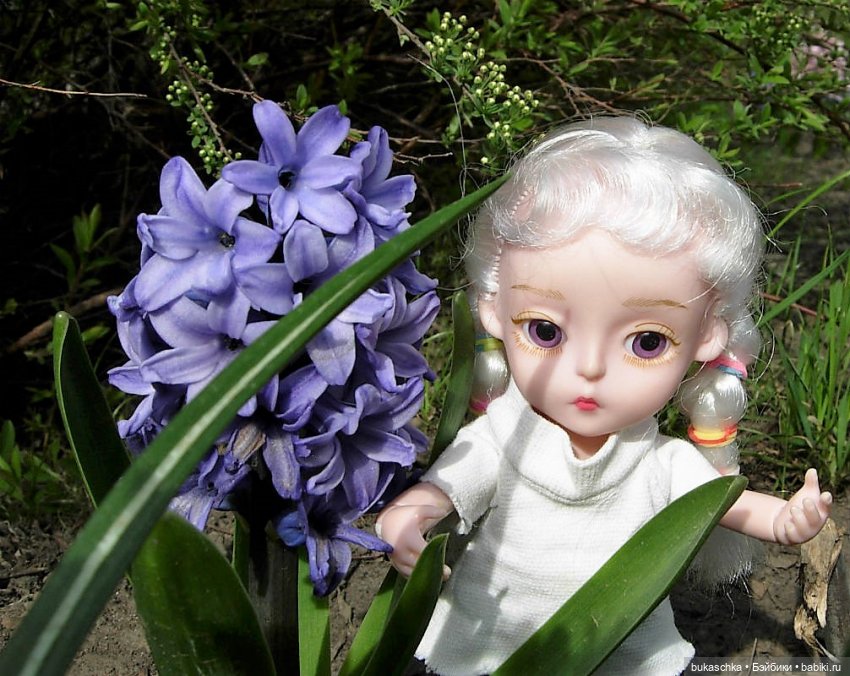 Гиацинт — Куклы Baboliy (Баболи