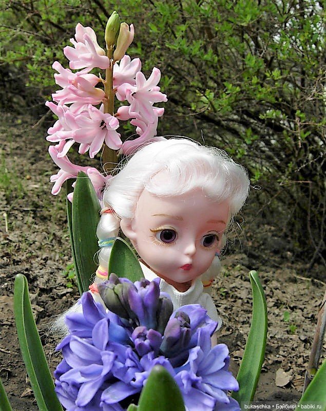 Гиацинт — Куклы Baboliy (Баболи (фото 7)