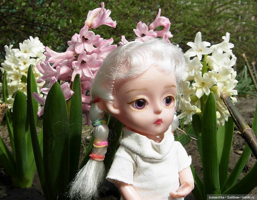 Гиацинт — Куклы Baboliy (Баболи (фото 4)