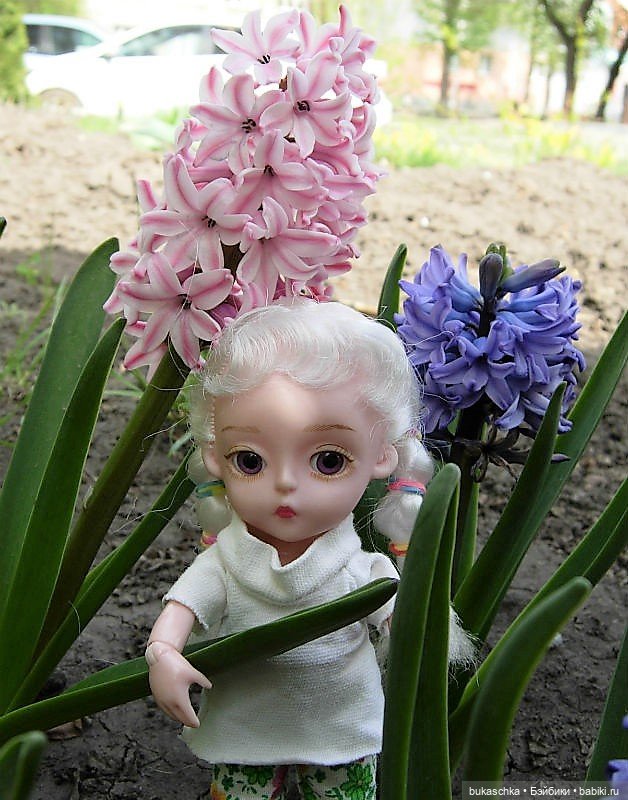 Гиацинт — Куклы Baboliy (Баболи