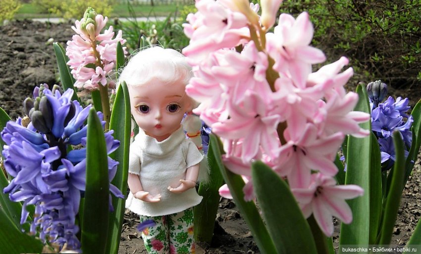 Гиацинт — Куклы Baboliy (Баболи (фото 5)