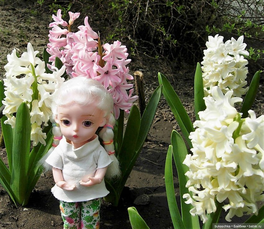 Гиацинт — Куклы Baboliy (Баболи